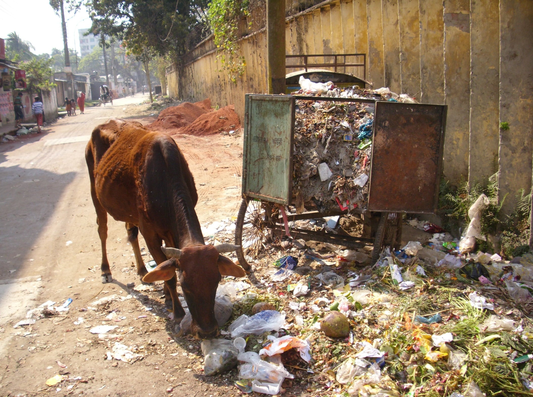 Garbage Menace in Mymensingh