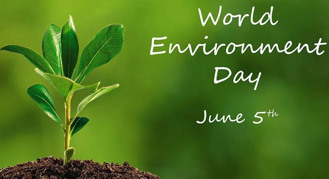 World Environment Day 2020