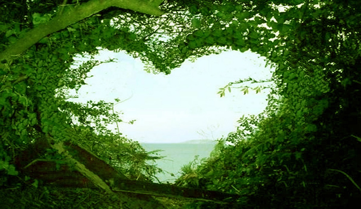 With love, nature